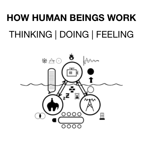 How Human Beings Work